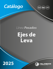 Ejes de Leva